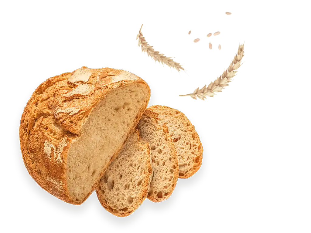 Ostriche